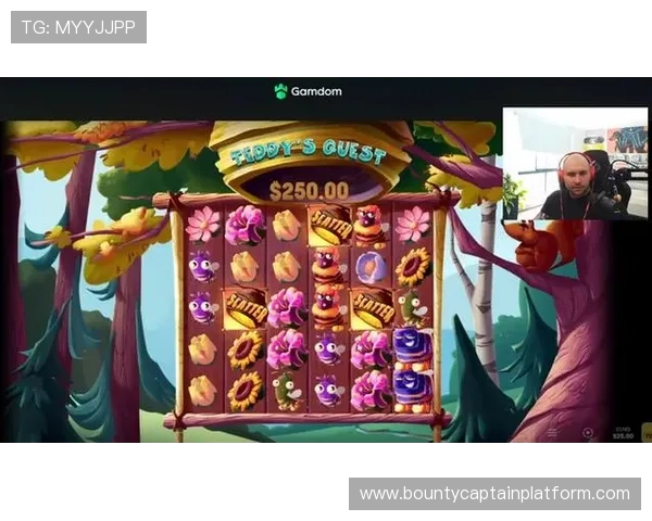 全面解析PG电子网址大全的安全性与稳定性,保障玩家游戏体验与资金安全 全面解析PG电子网址大全的安全性与稳定性,保障玩家游戏体验与资金安全